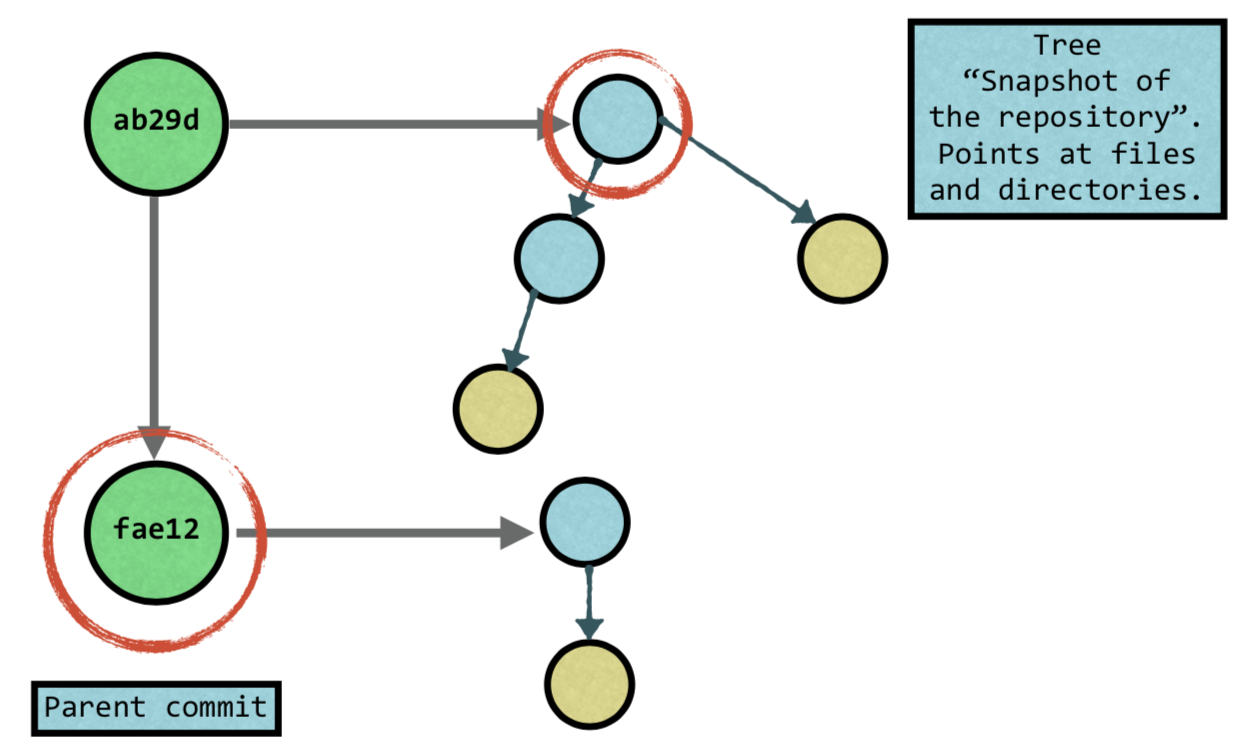 COMMITS POINT TO PARENT COMMITS AND TREES